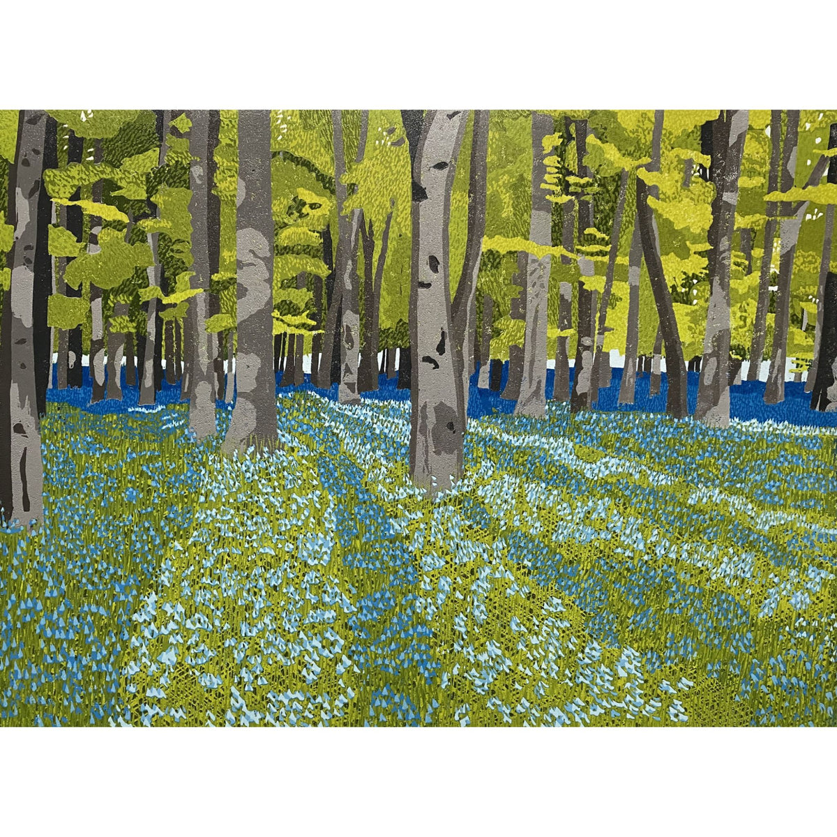 Bluebell Woods