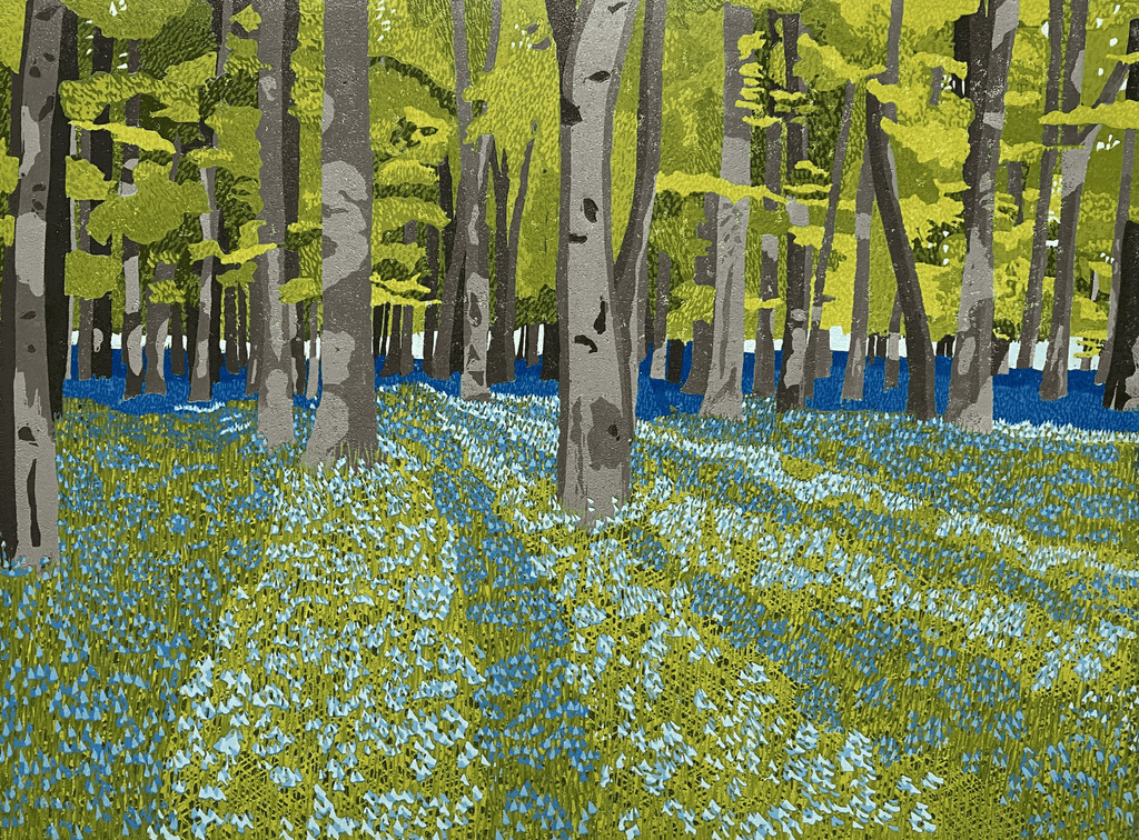 Bluebell Woods