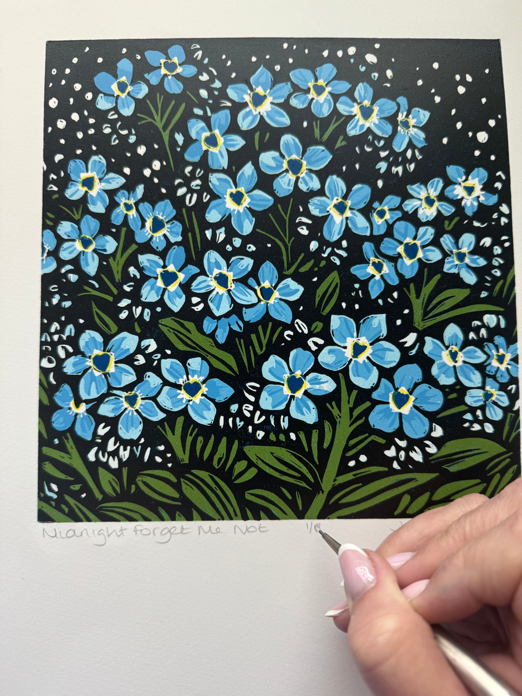 Midnight Forget Me Nots