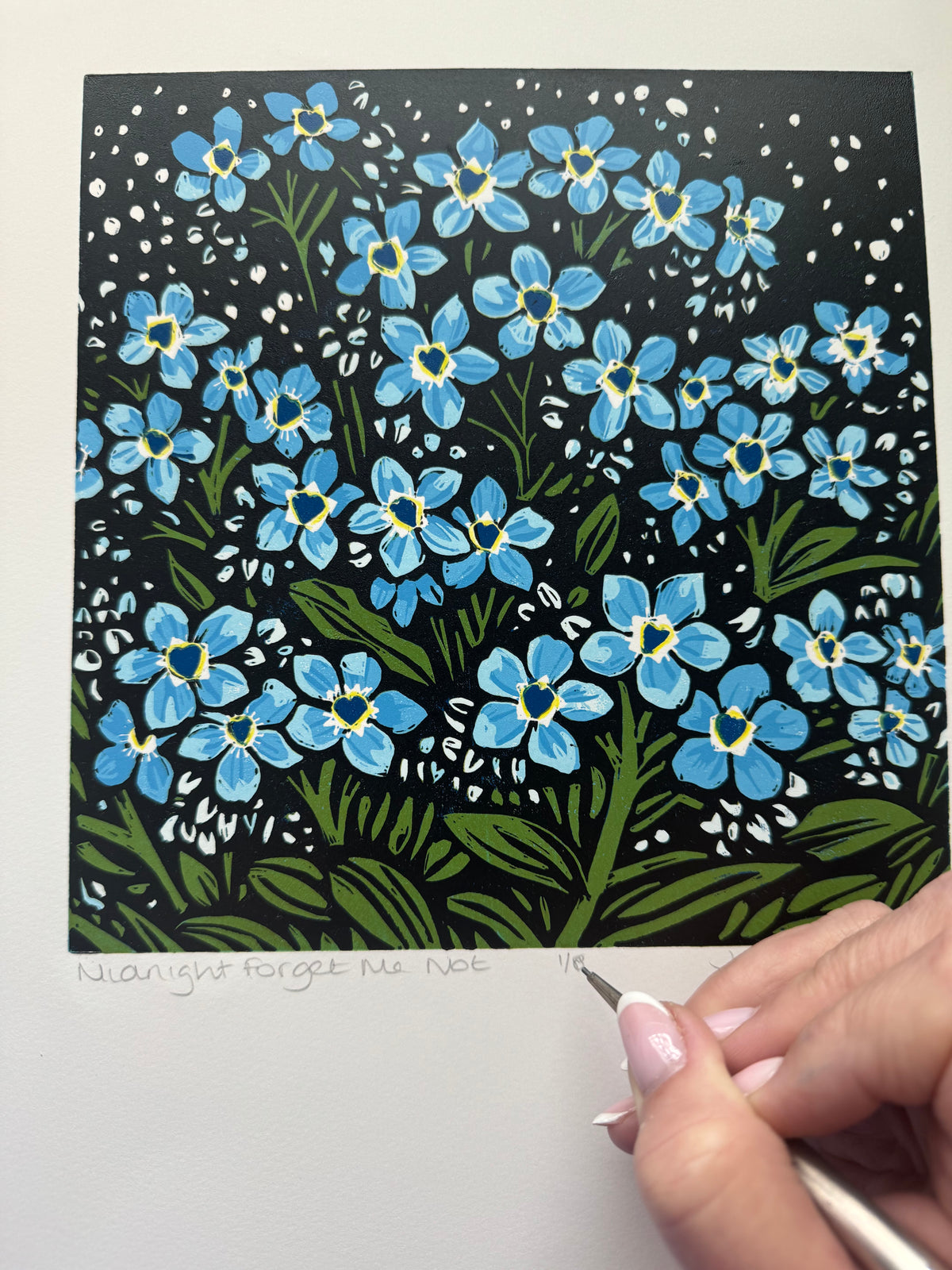 Midnight Forget Me Nots