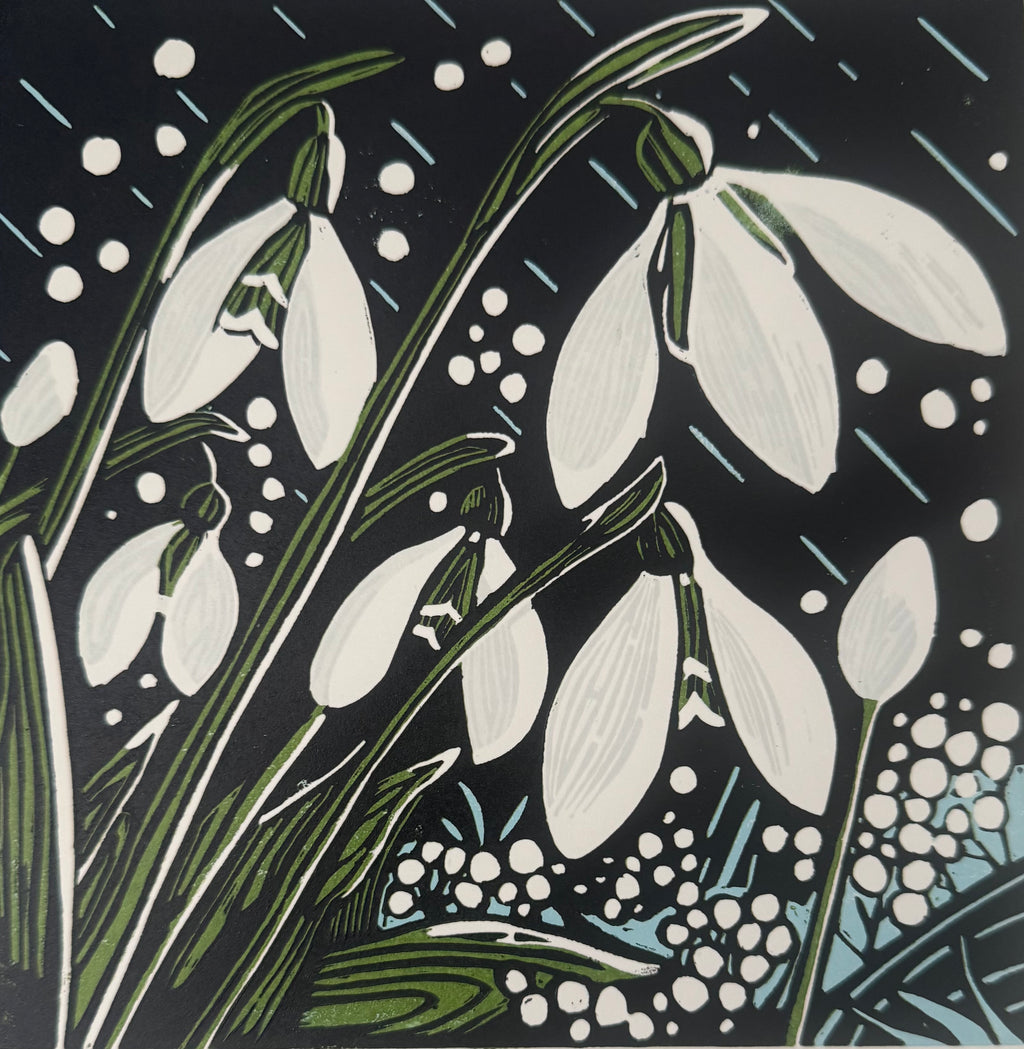 Snowdrops