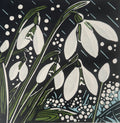 Snowdrops