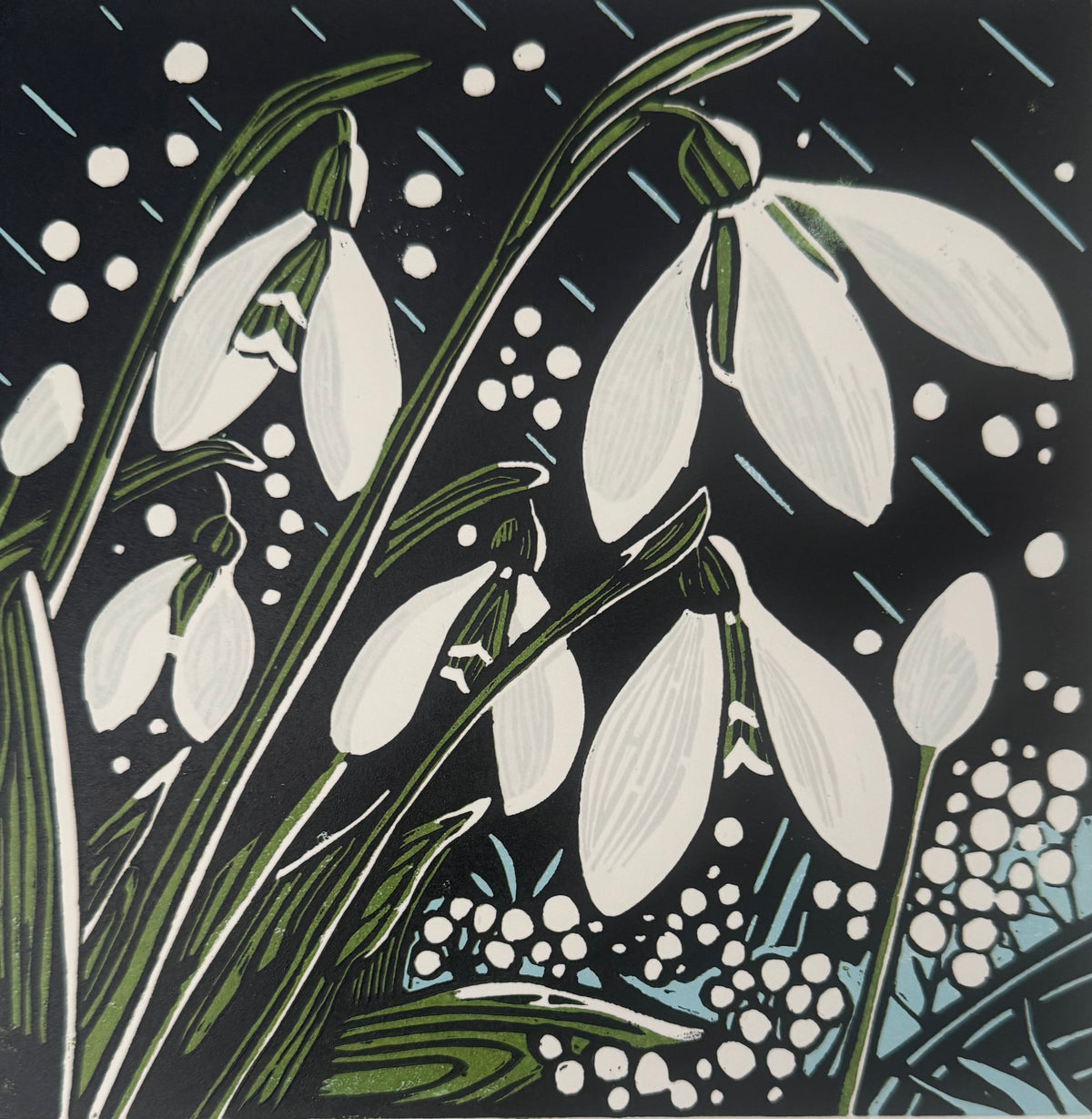Snowdrops